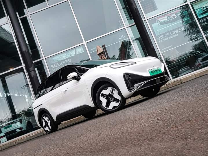 Фото 4 - BAIC Arcfox Kaola