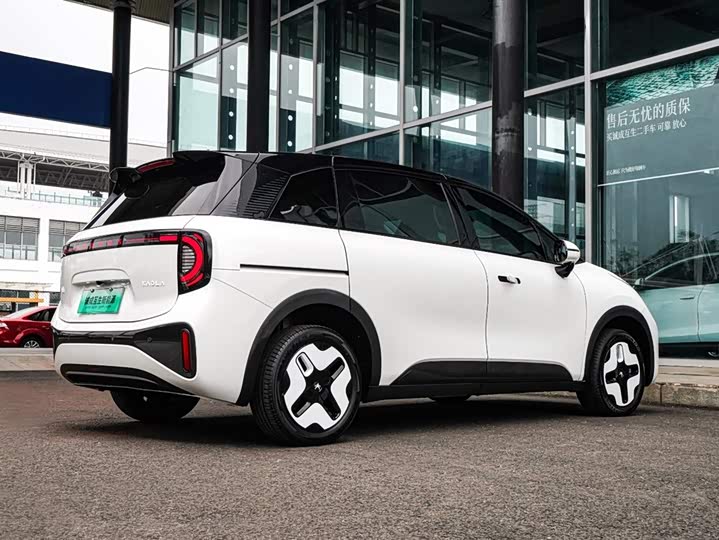 Фото 6 - BAIC Arcfox Kaola