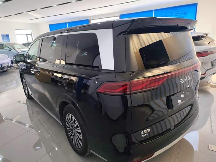 Фото 5 - BYD Xia