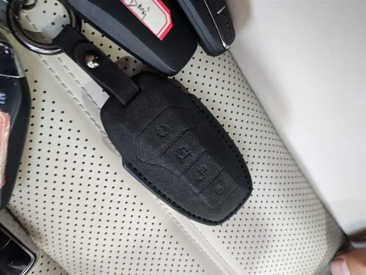 Фото 9 - BYD Xia