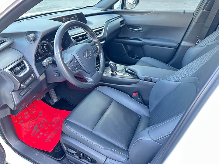 Фото 9 - Lexus UX Hybrid