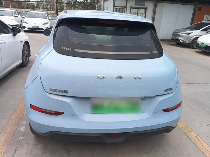 Фото 6 - Ora Good Cat (03)