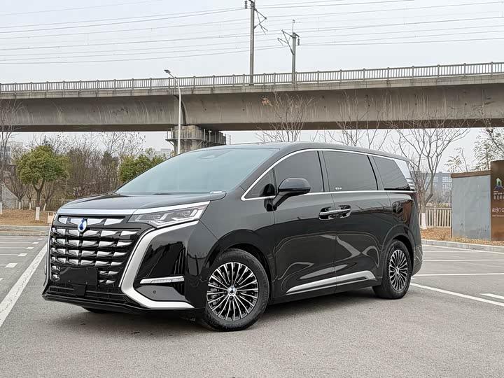 Фото 1 - Denza D9