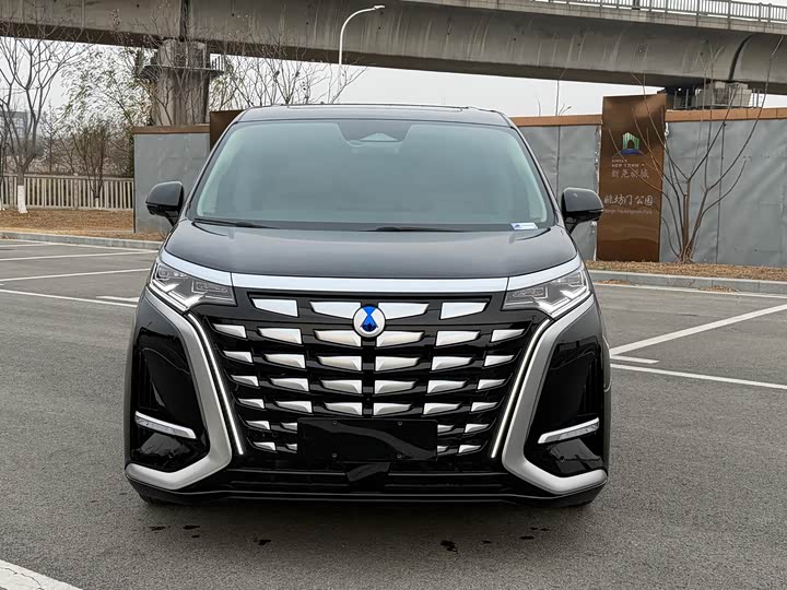 Фото 2 - Denza D9