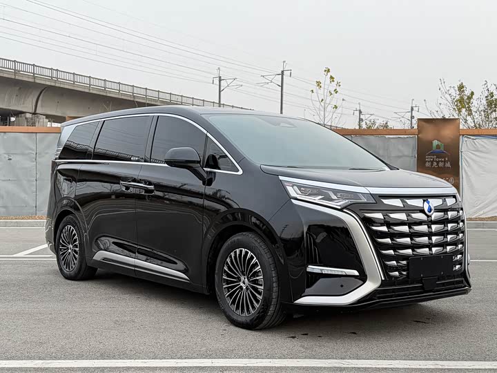 Фото 3 - Denza D9