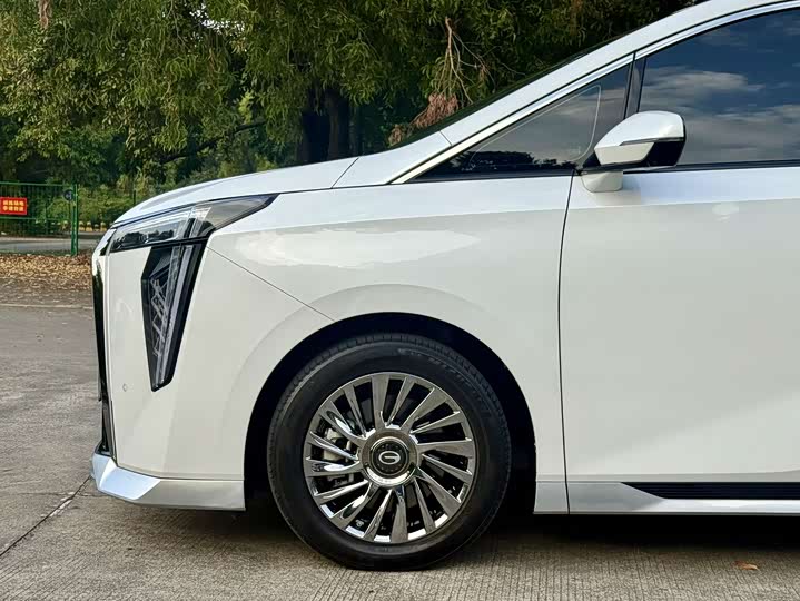 Фото 7 - GAC Trumpchi M8