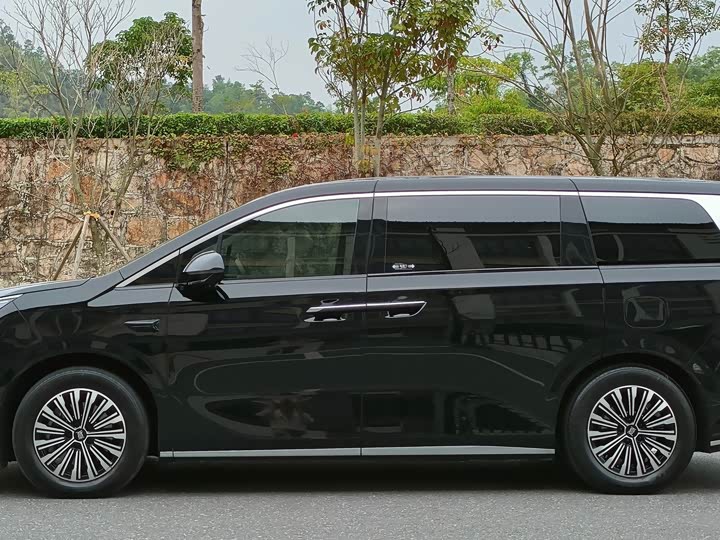 Фото 4 - BYD Xia