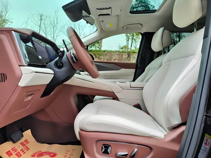 Фото 6 - BYD Xia