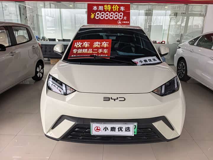 Фото 2 - BYD Seagull