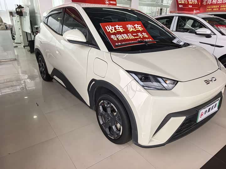 Фото 3 - BYD Seagull