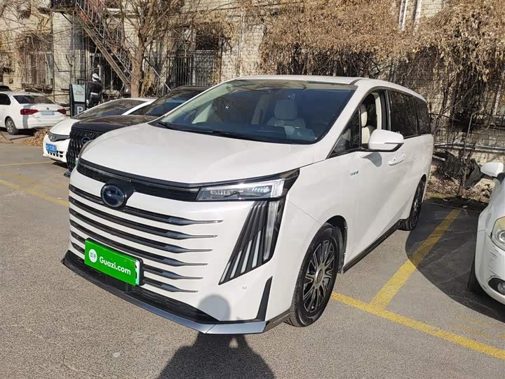 Фото 1 - GAC Trumpchi E9