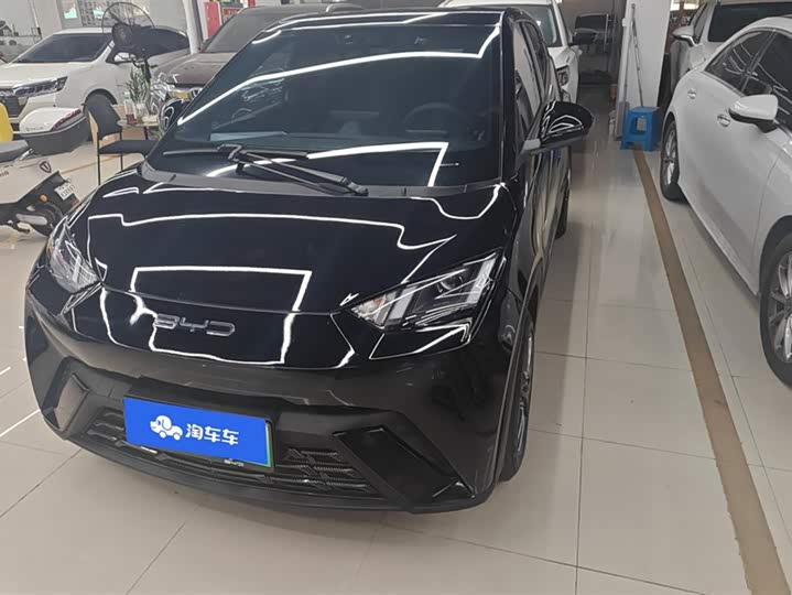 Фото 2 - BYD Seagull