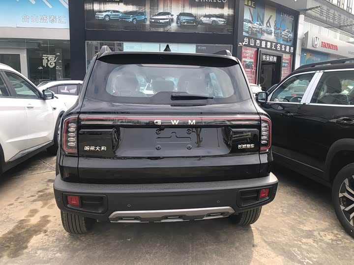 Фото 3 - Haval Dargo