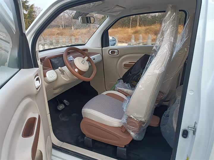 Фото 7 - Bestune Pony