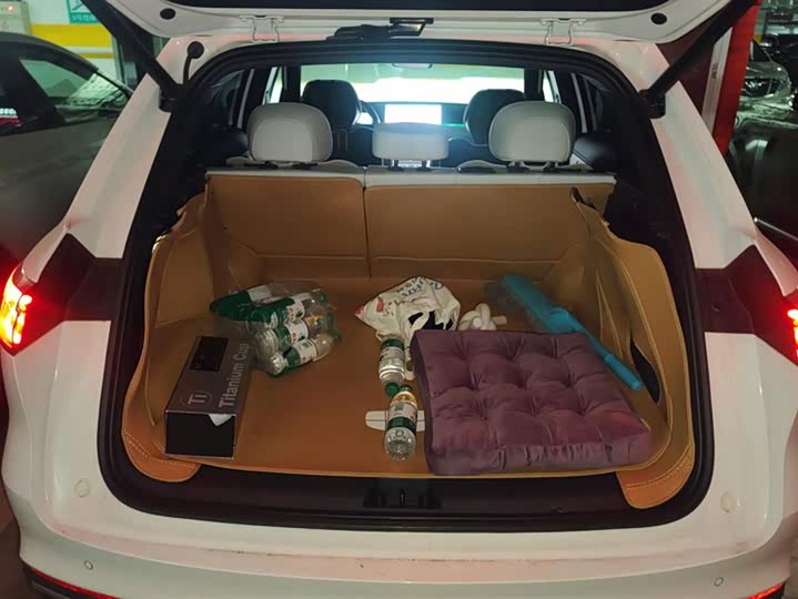 Фото 4 - Geely Galaxy Starship 7