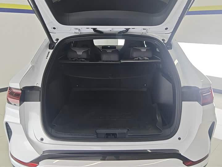 Фото 4 - BYD Song Plus Hybrid/EV