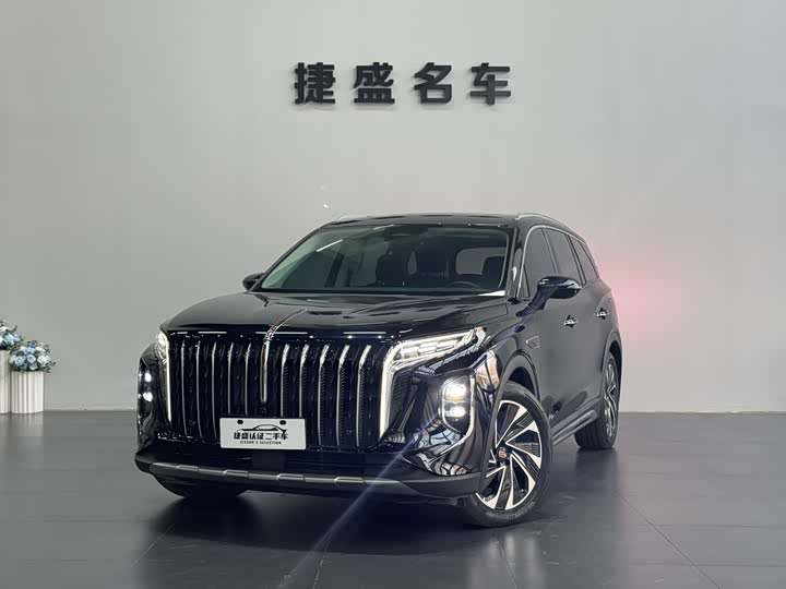 Фото 1 - Hongqi HS7