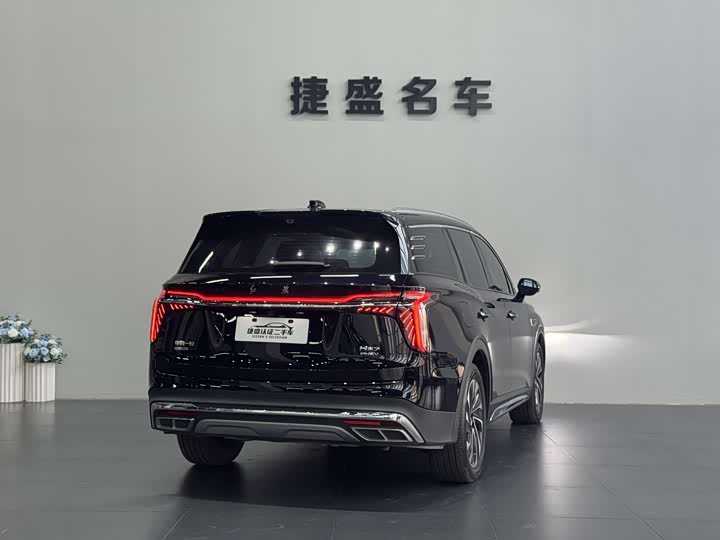 Фото 6 - Hongqi HS7