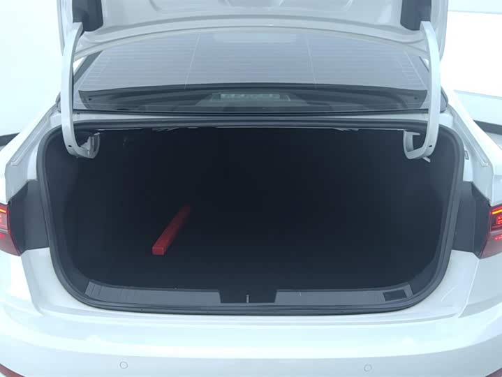 Фото 4 - Volkswagen Sagitar L