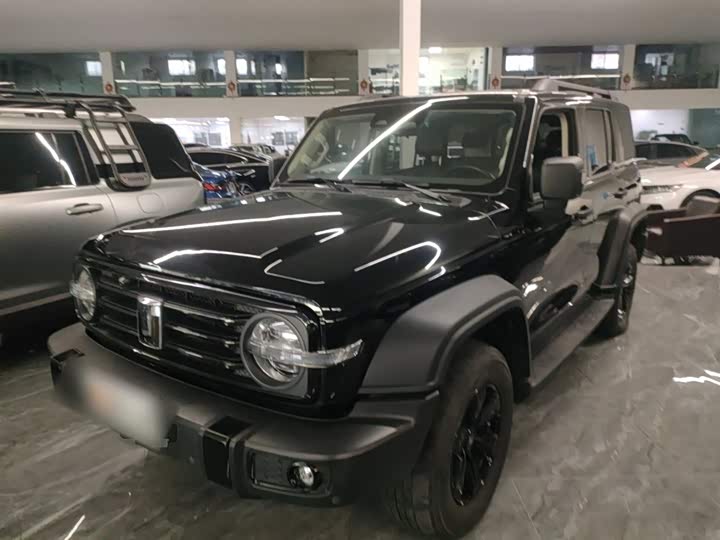 Фото 1 - Tank 300