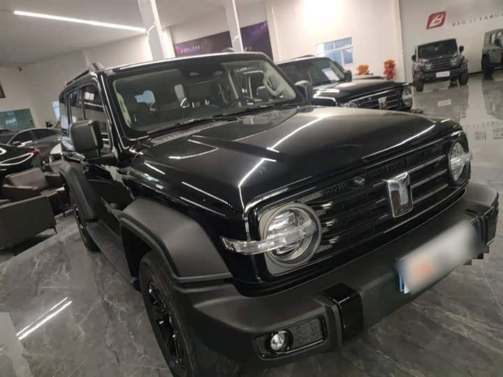 Фото 4 - Tank 300