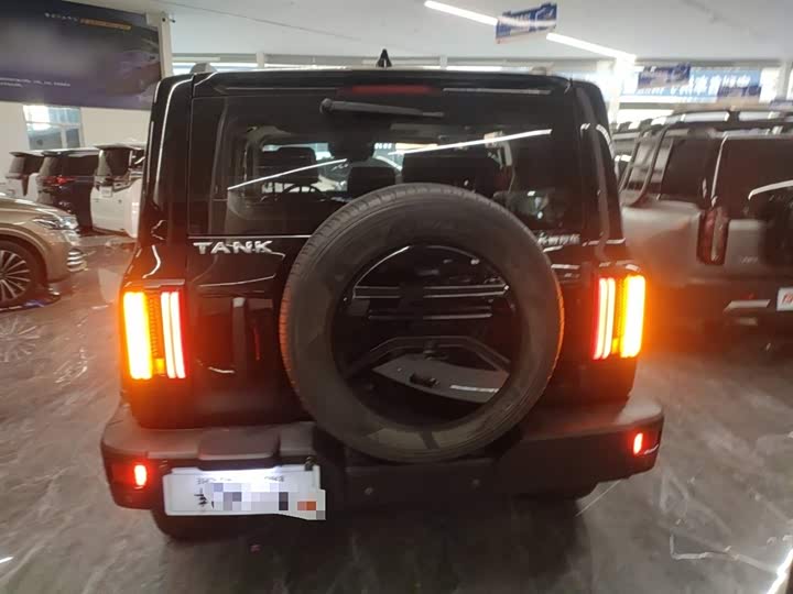 Фото 6 - Tank 300