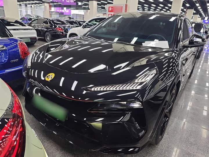 Фото 3 - Lotus Eletre