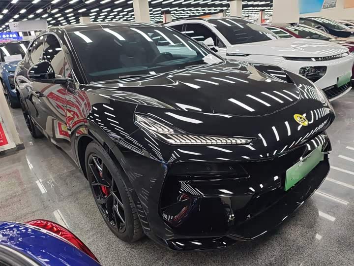 Фото 4 - Lotus Eletre