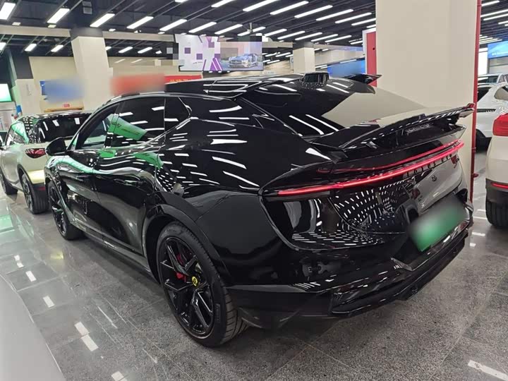 Фото 5 - Lotus Eletre