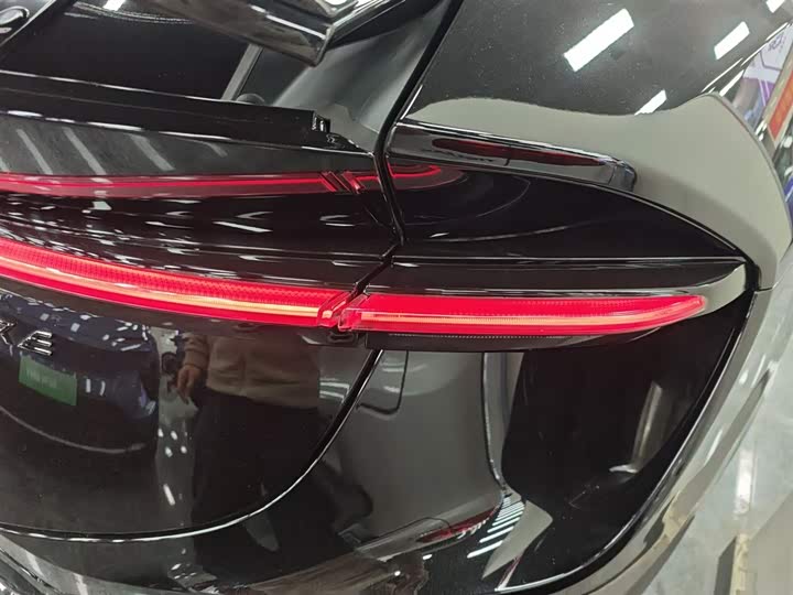 Фото 8 - Lotus Eletre