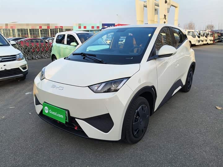 Фото 1 - BYD Seagull