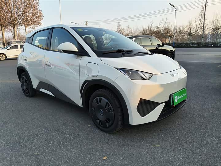 Фото 4 - BYD Seagull