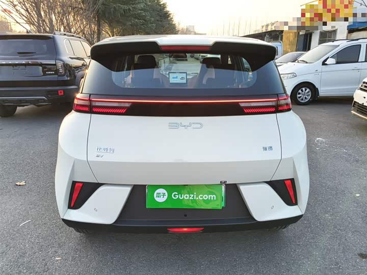 Фото 6 - BYD Seagull