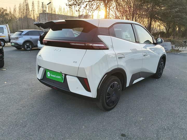 Фото 7 - BYD Seagull