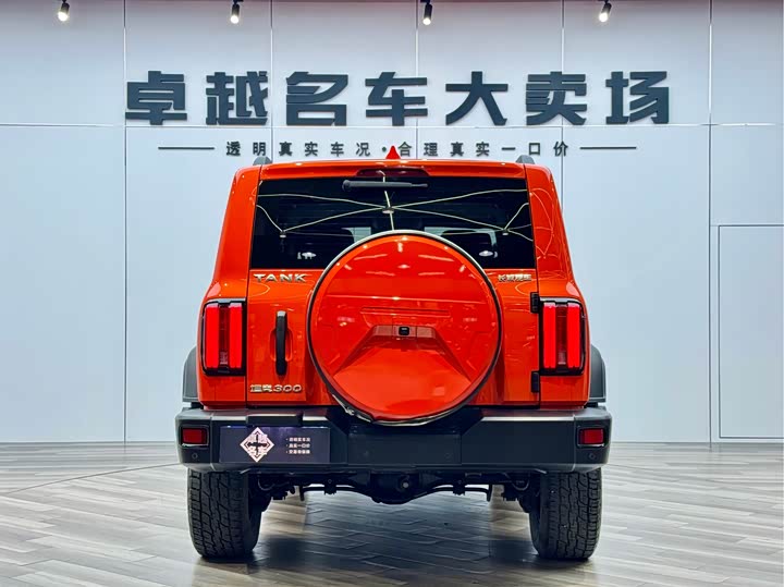 Фото 5 - Tank 300