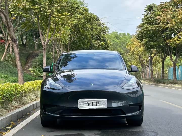 Фото 2 - Tesla Model Y