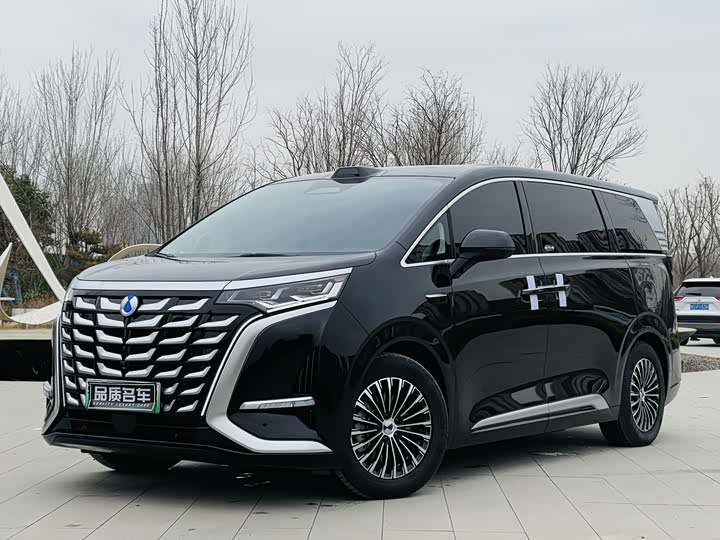 Фото 1 - Denza D9