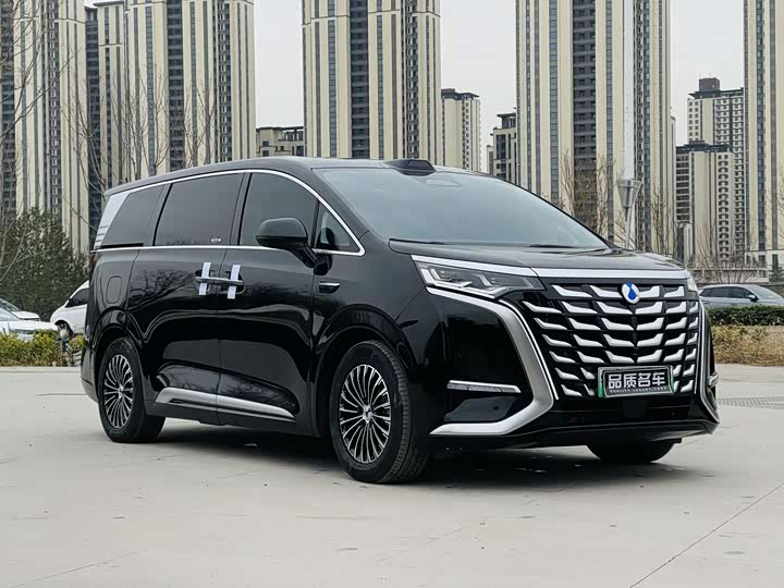 Фото 2 - Denza D9