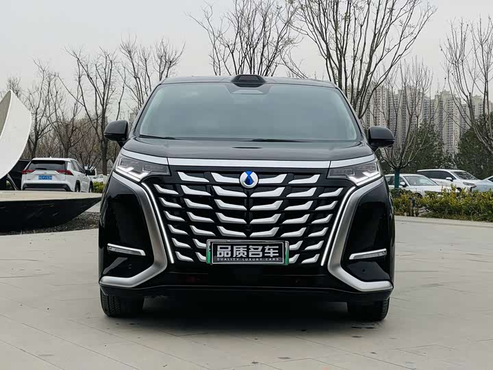 Фото 3 - Denza D9