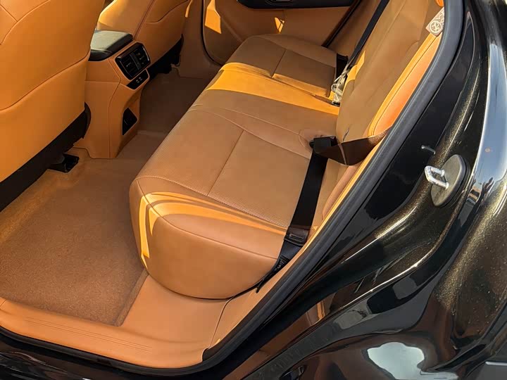 Фото 6 - Lexus RZ