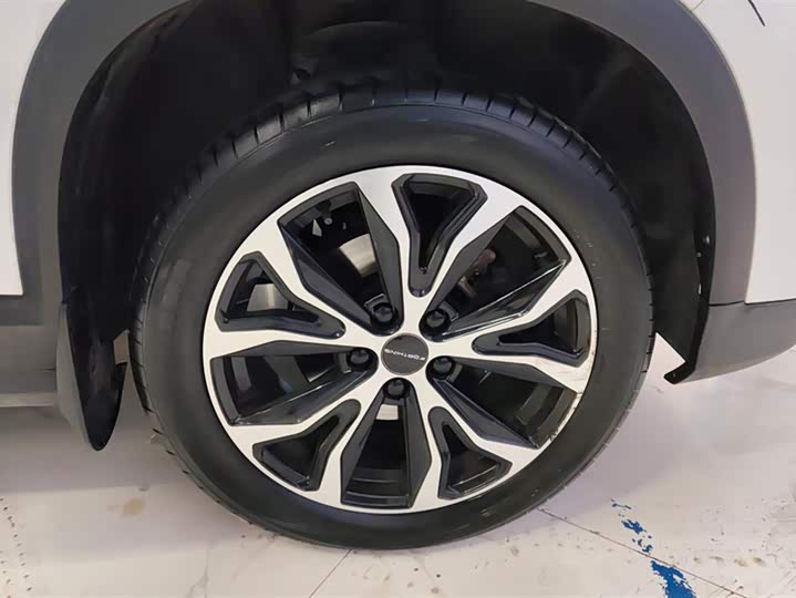 Фото 6 - Dongfeng Forthing T5