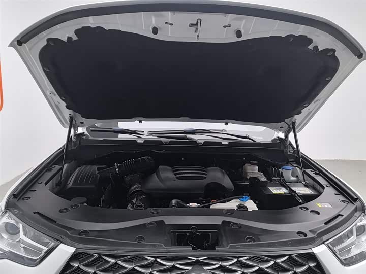 Фото 6 - Great Wall Pao