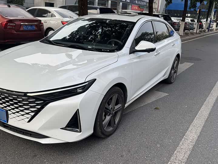 Фото 3 - Changan Raeton Plus