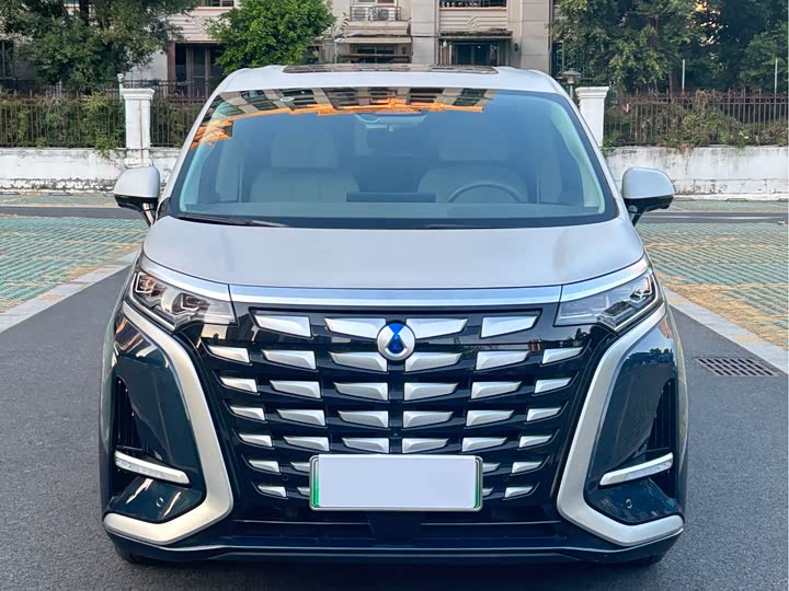 Фото 2 - Denza D9