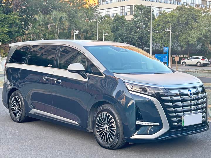 Фото 3 - Denza D9