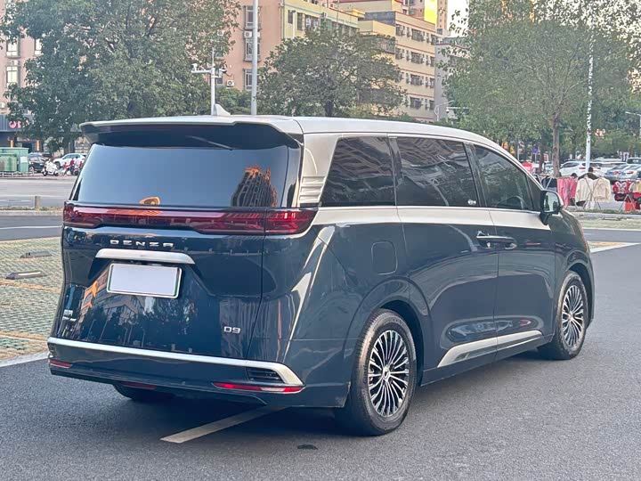 Фото 4 - Denza D9