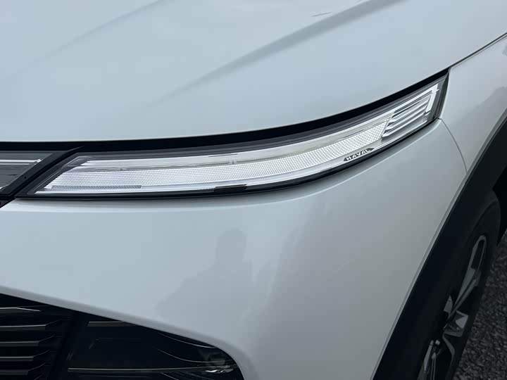 Фото 4 - Haval F7 (Monster)