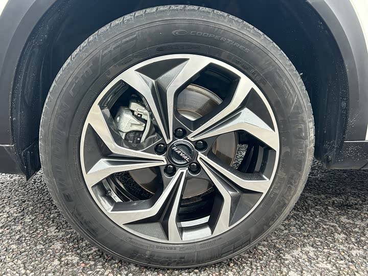 Фото 5 - Haval F7 (Monster)