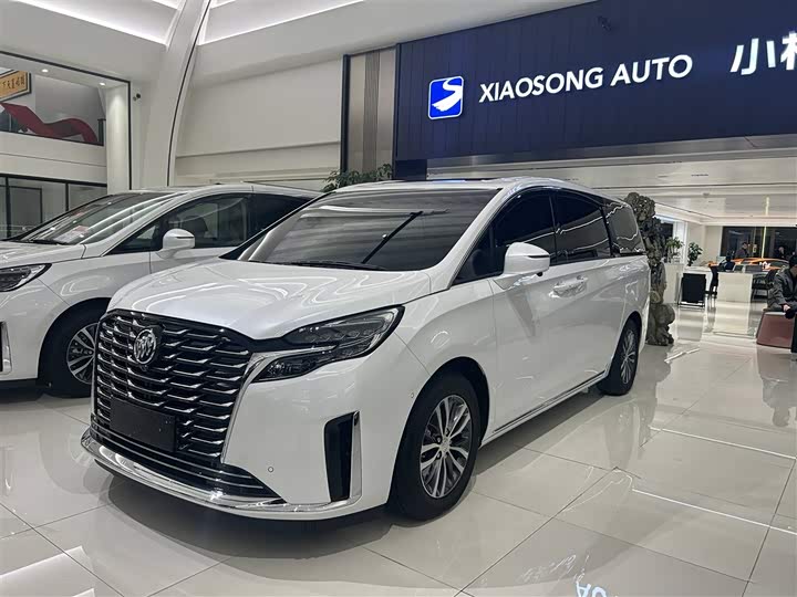 Фото 1 - Buick GL8 ES