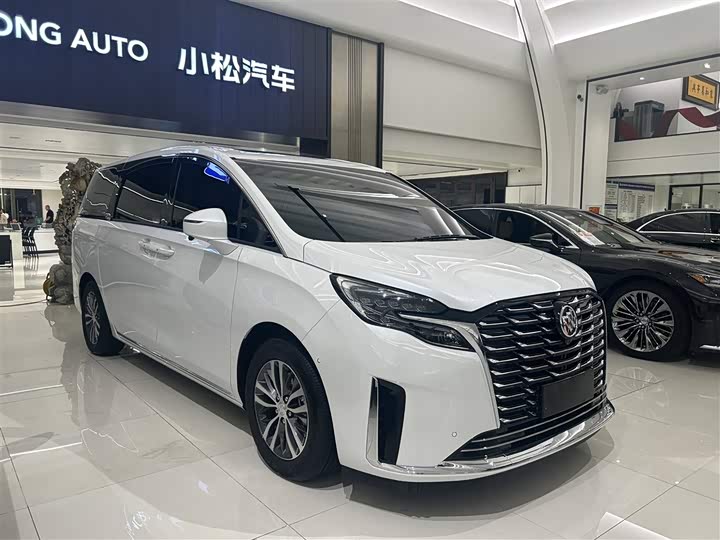 Фото 3 - Buick GL8 ES